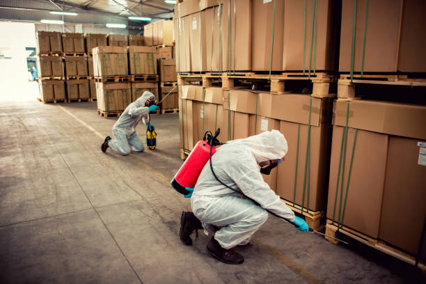 Best Wildlife Control Services  in Mannington, WV