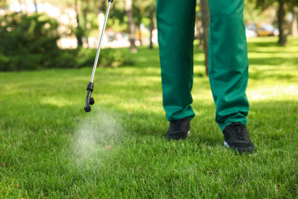  Mannington, WV Pest Control Pros