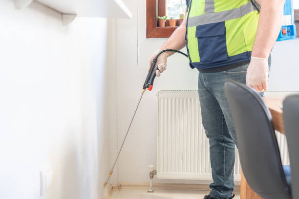 Best Termite Control Services  in Mannington, WV