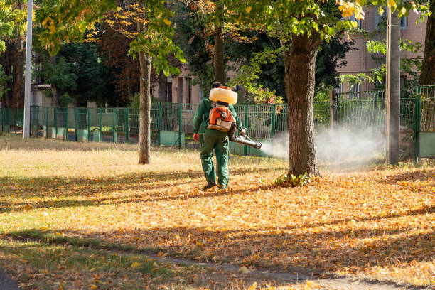 Best Exterminator Services  in Mannington, WV