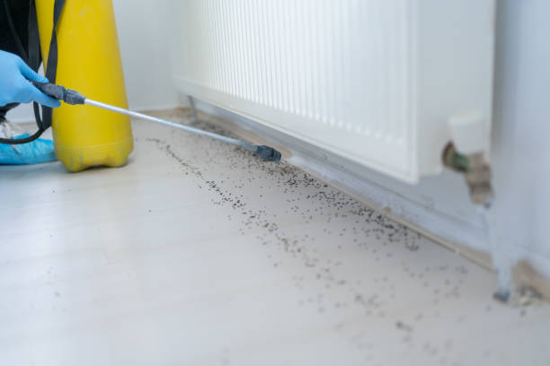 Best Insect Control  in Mannington, WV