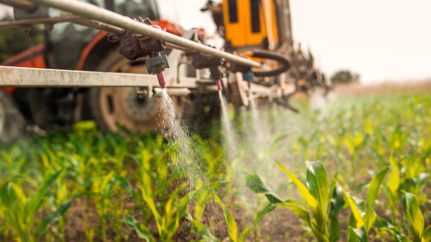 Reliable Mannington, WV Pest Control Solutions