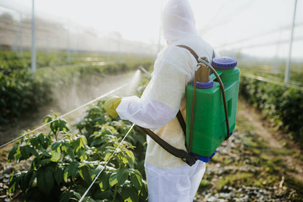 Insect Control in Mannington, WV